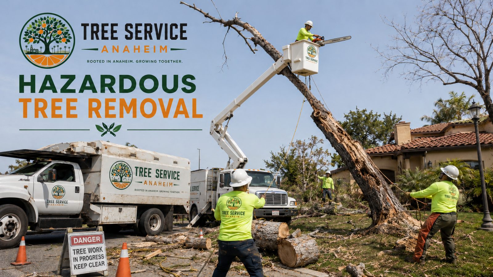 Hazardous tree removal in Anaheim, California Tree worker carrying out hazardous tree removal in Anaheim, California